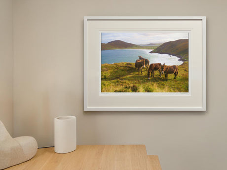 Tranarossan - Standard Framed White