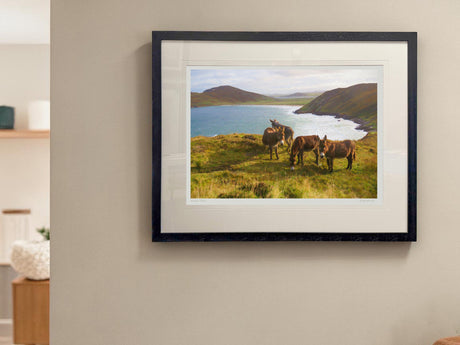 Tranarossan - XL Framed Black
