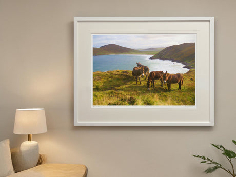 Tranarossan - XL Framed White