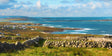 Walls to Waves, Brinlack
