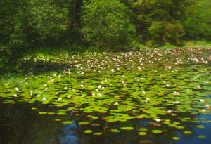 At Moss Eccles Tarn