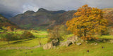Autumn , Langdale