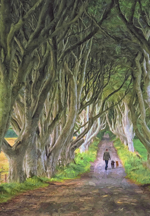 The Dark Hedges