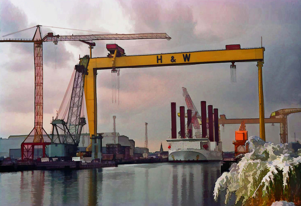 Cold day at the Yard