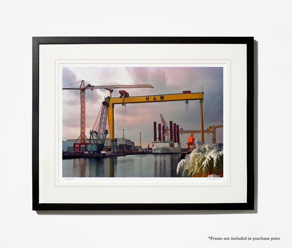 Cold day at the Yard