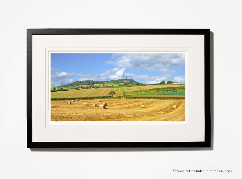 Late summer , below Scrabo