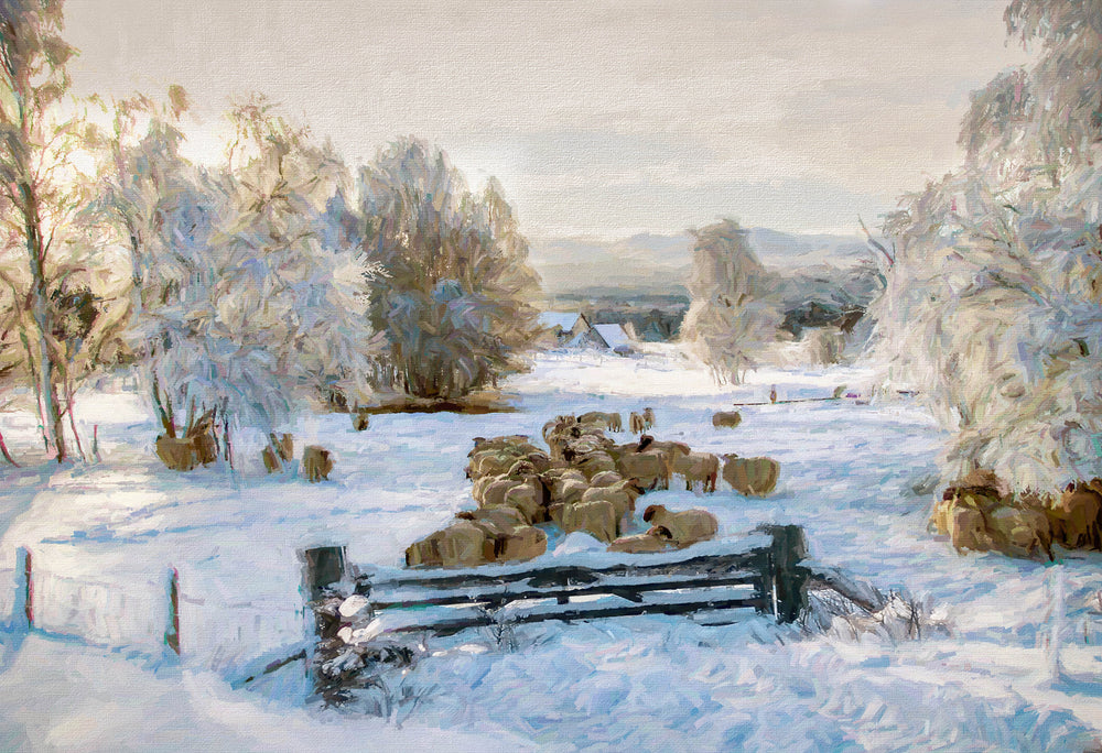 Morning Sun near Grantown