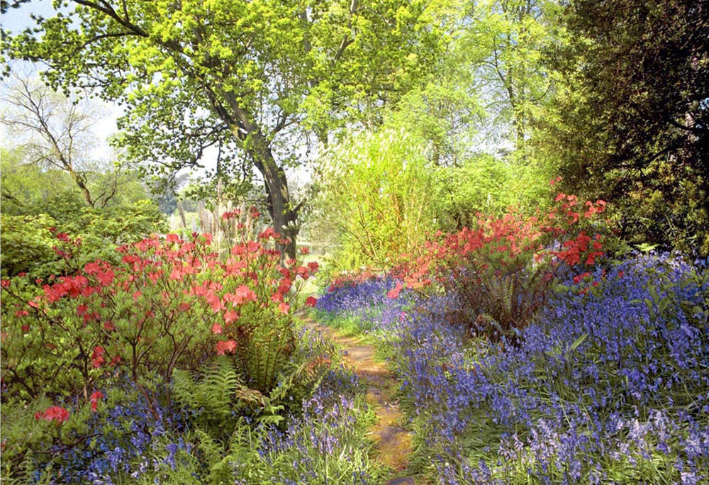 Mount Stewart - Spring Morning