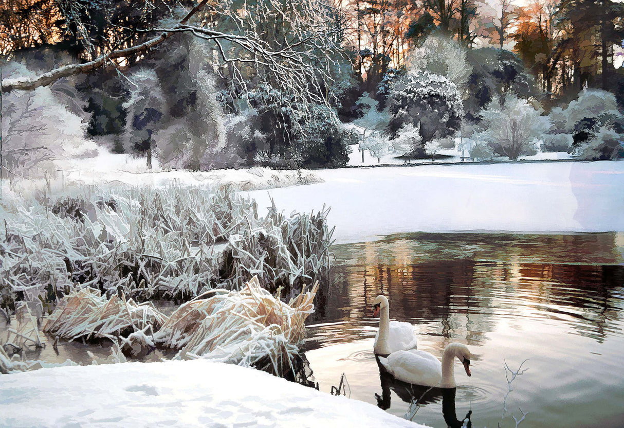 Mount Stewart  - Winters morning