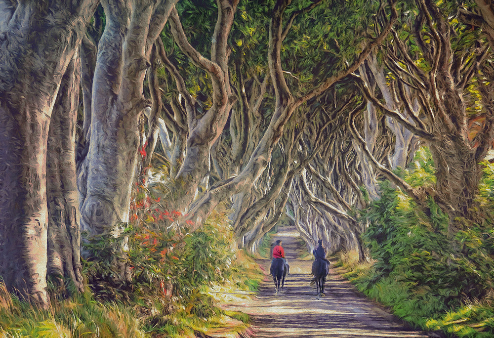 Quiet Reflection, The Dark Hedges