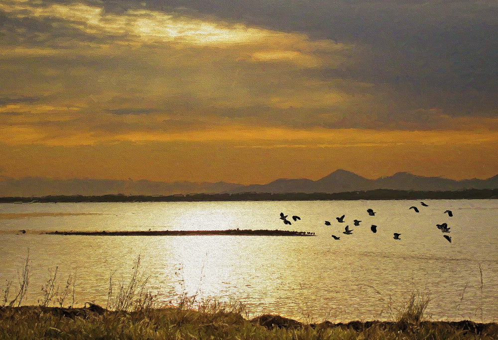 Time to go home , Strangford Lough