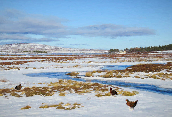 Winter , Lochindorb