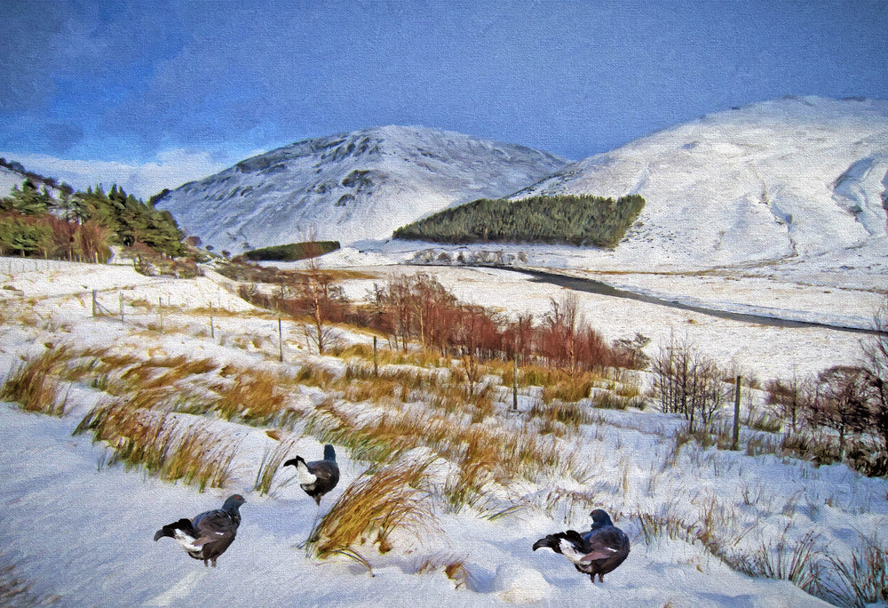 Winter above the Findhorn